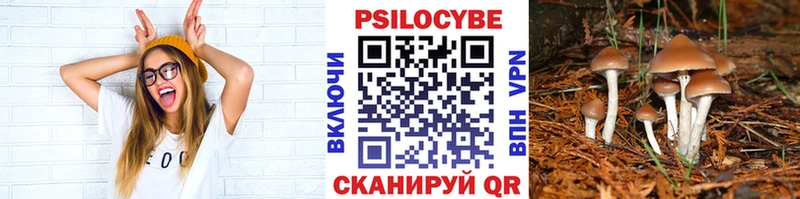 гидра как войти Буй Галлюциногенные грибы Cubensis где купить наркотик